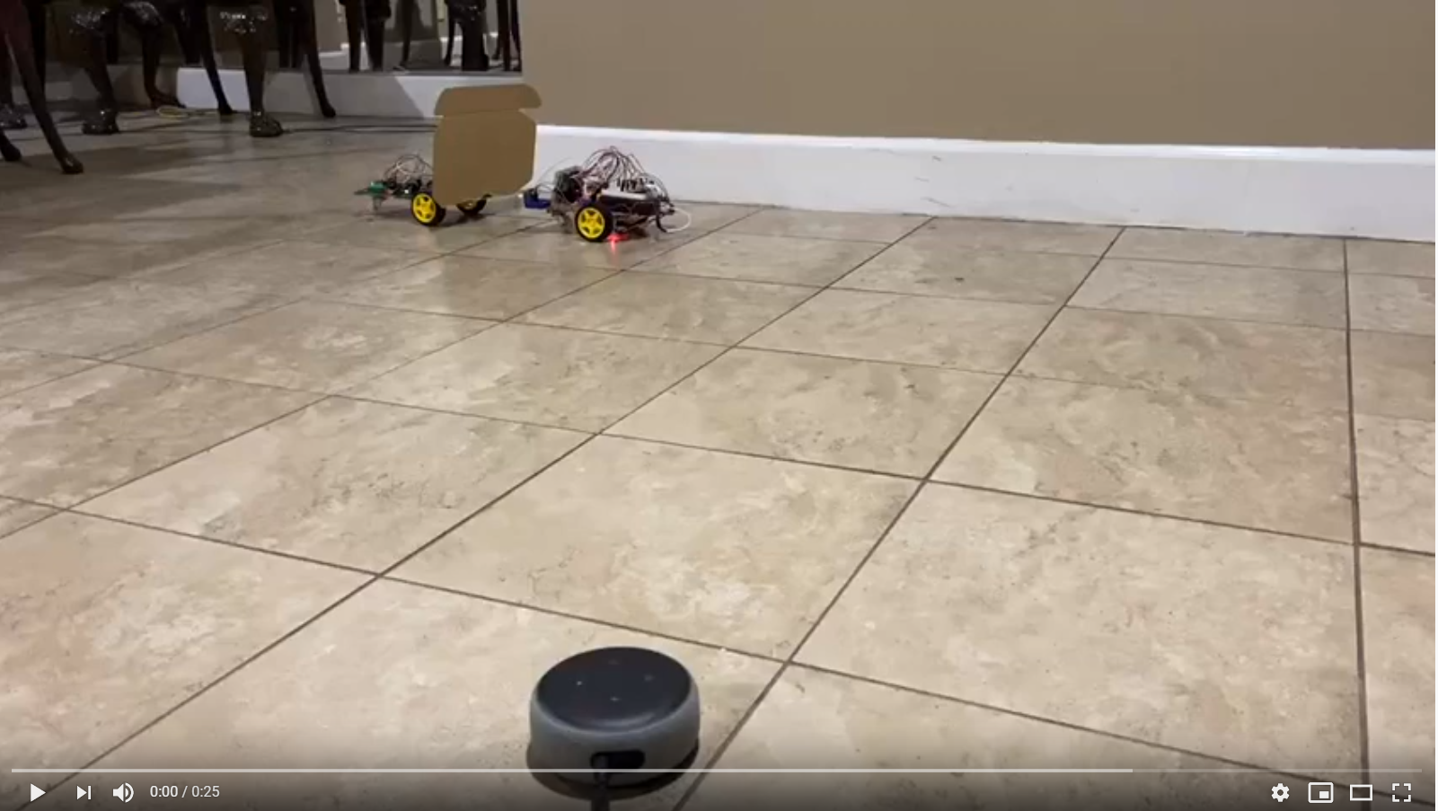 Demo Video